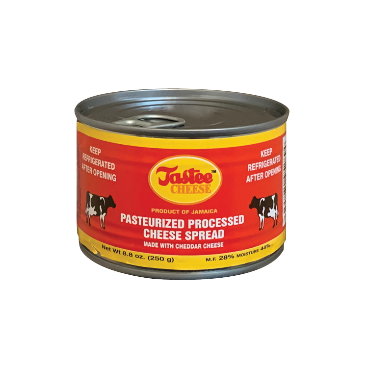 Tastee Cheese Processed Cheddar Cheese Spread